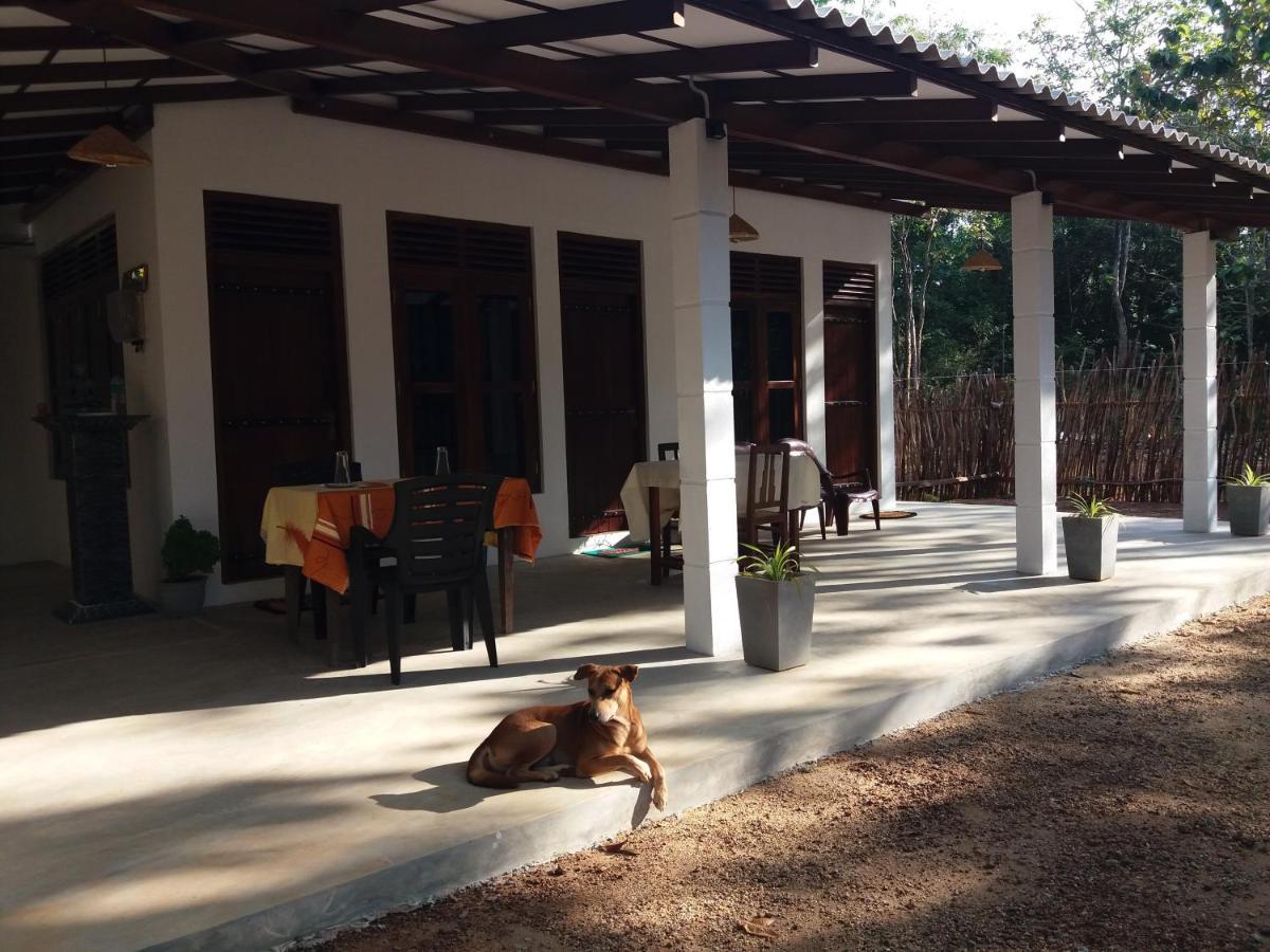 Cashew Villa Hiriketiya Dikwella Eksteriør bilde