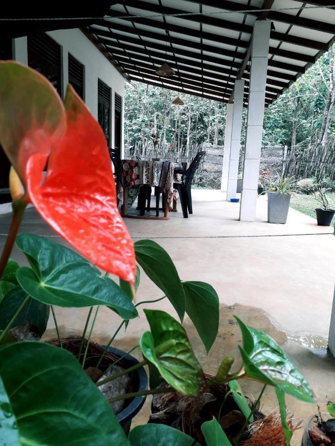 Cashew Villa Hiriketiya Dikwella Eksteriør bilde